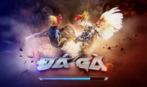 Đá Gà 3D Tại SV368