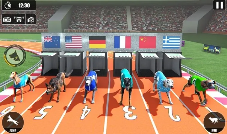 Bật Mí Cách Chơi Đua Chó SV368 Luôn Thắng Từ Chuyên Gia 2 Cách chơi game nhanh Đua Chó SV368