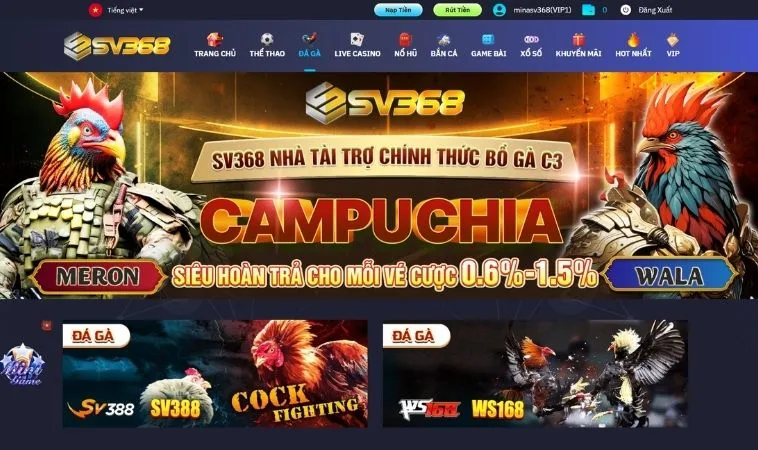 Sảnh đá gà SV368 thiết kế giao diện đẹp, chuyên nghiệp