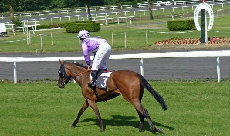 Cần tìm hiểu về bộ môn đua ngựa SV368 trước khi tham gia cá cược